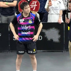 正式告别，结束德甲第1季，扣除上缴乒协，樊振东薪水剩下多少